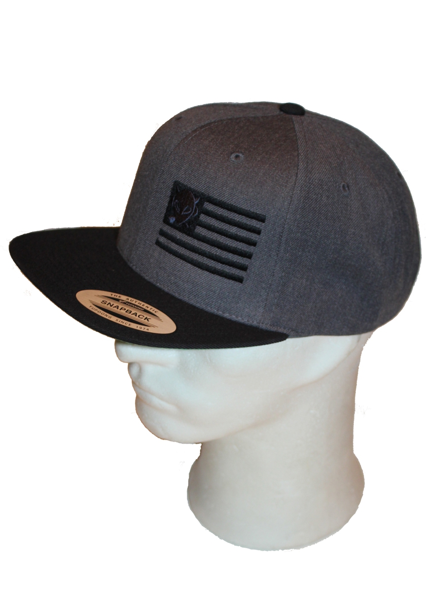 Alien DNA United Aliens snapback kšiltovka šedo-černá