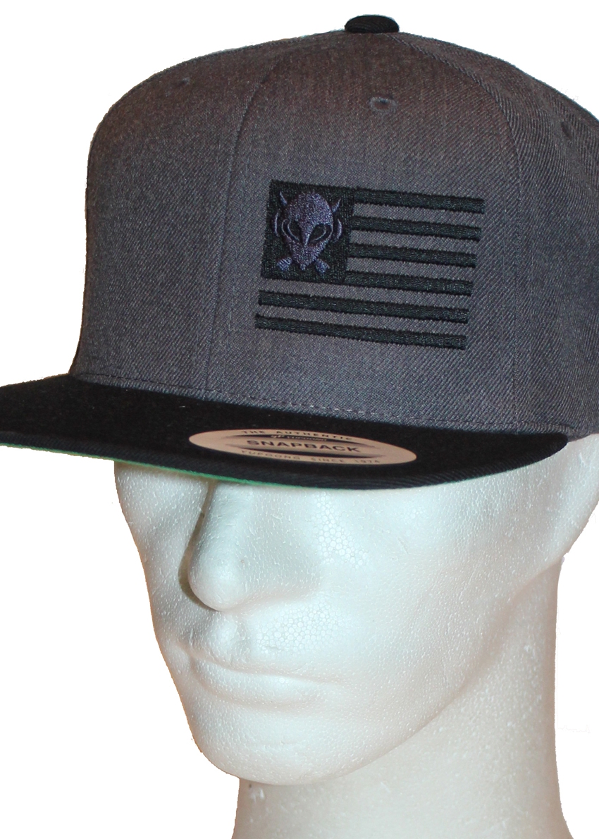 Alien DNA United Aliens snapback kšiltovka šedo-černá