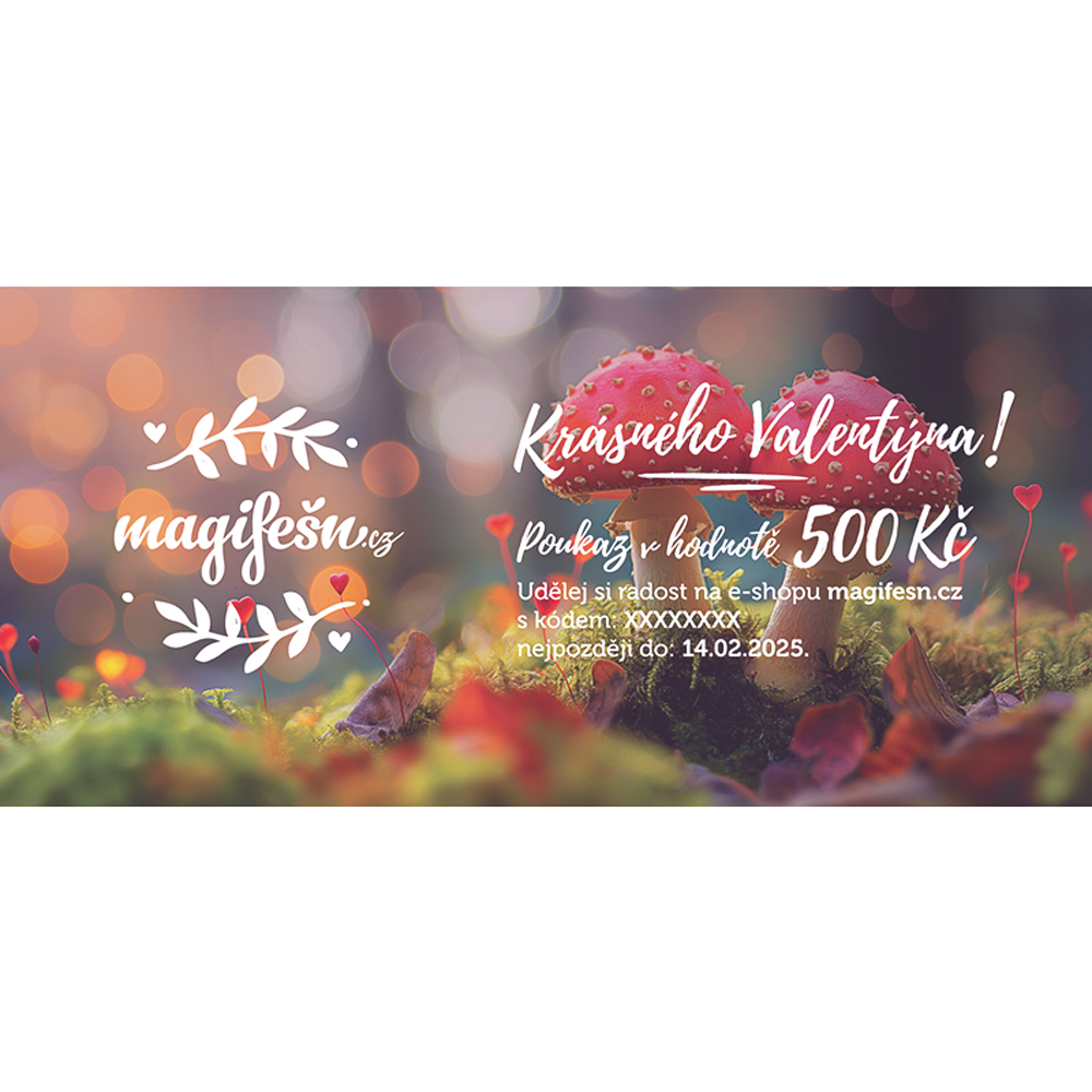 Magifešn Valentýn dárkový poukaz elektronický