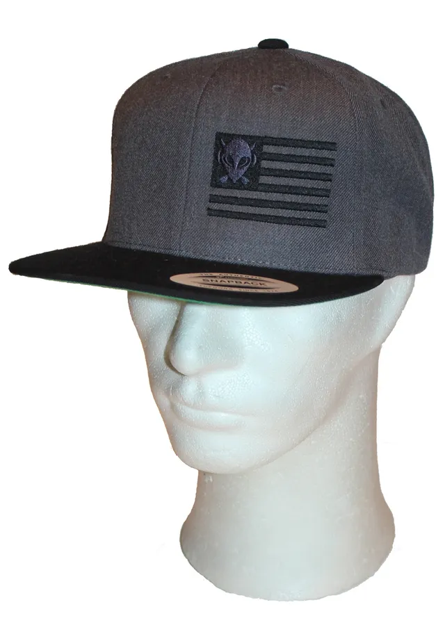 Alien DNA United Aliens snapback kšiltovka šedo-černá