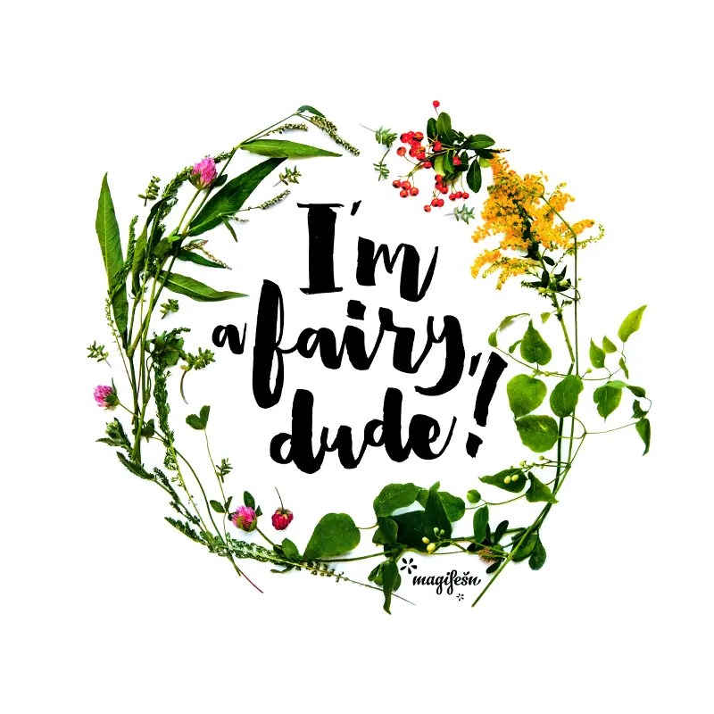 Magifešn BIO tričko XX I’m a fairy, dude! luční biobavlna